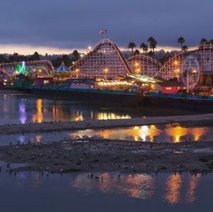 Meet your Posher, Daisy